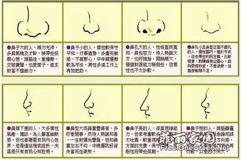 鼻子面相图解|面相五官分析全解图之鼻相图解大全讲解